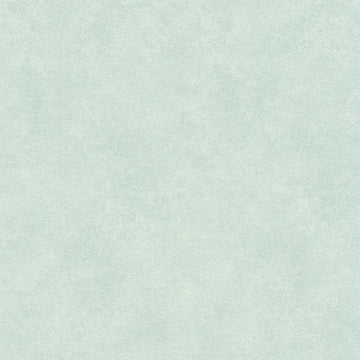Closeup of a wallpaper showing its Contemporary, Green, Pastels, Plain pattern, color, and texture.