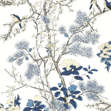 Thibaut Katsura T13619