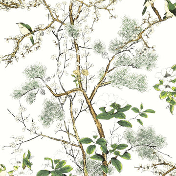 Thibaut Katsura T13621