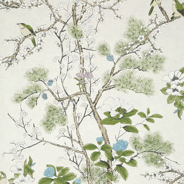 Thibaut Katsura T13622