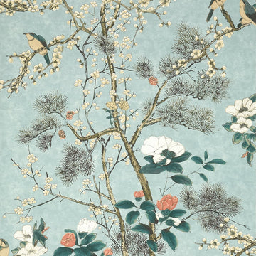 Thibaut Katsura T13625