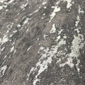 Wallpaper installed in a room showing its full pattern, color